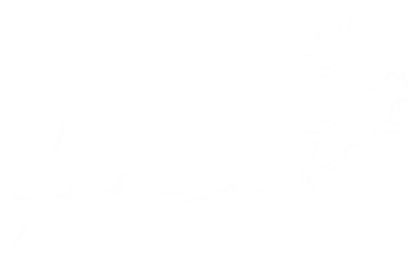Feérico Studio